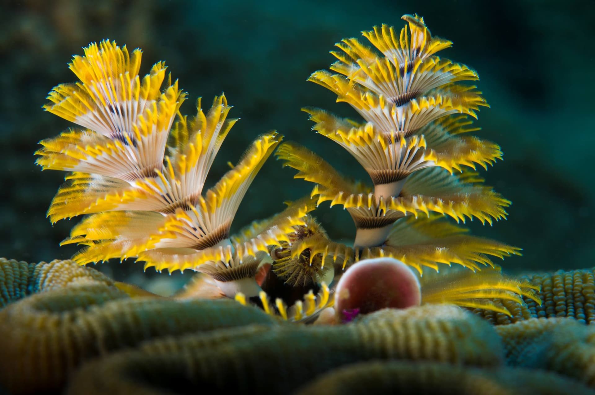 Escapada romántica: Naturaleza y rincones mágicos cerca de Boca del Río
