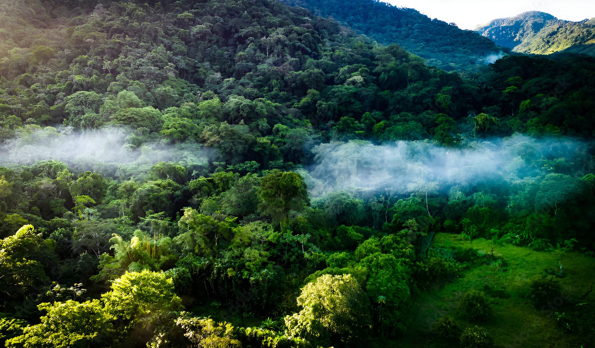 Explorando la Reserva de la Biosfera Los Tuxtlas desde Boca del Río, Veracruz